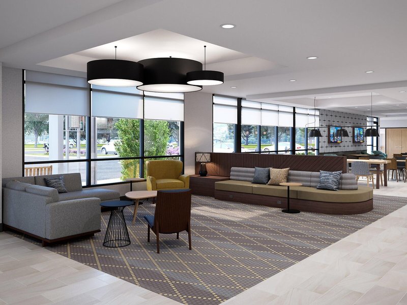 Holiday Inn Tampa North, an IHG Hotel 14
