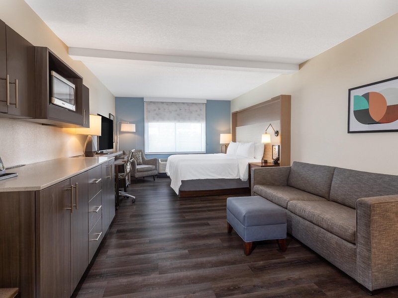 Holiday Inn Tampa North, an IHG Hotel 35
