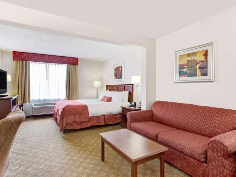 Holiday Inn Tampa North, an IHG Hotel 37