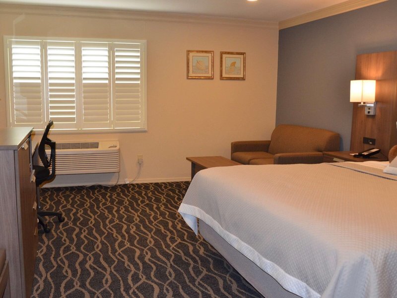 Best Western Plus Hill House 34 - Room Example