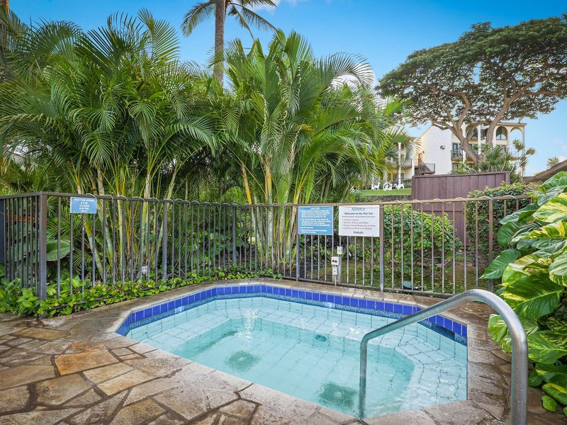 Aston Maui Hill 8