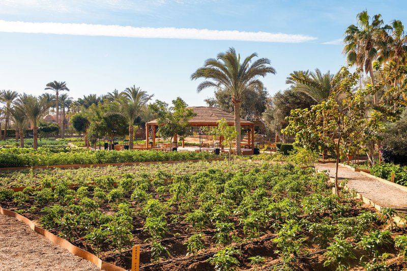 Mövenpick Resort El Quseir 23
