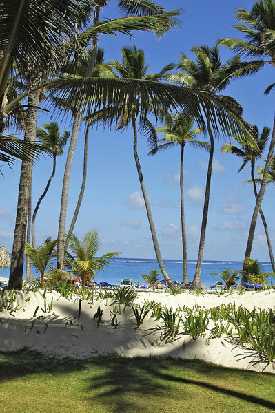 Grand Palladium Punta Cana Resort & Spa 7