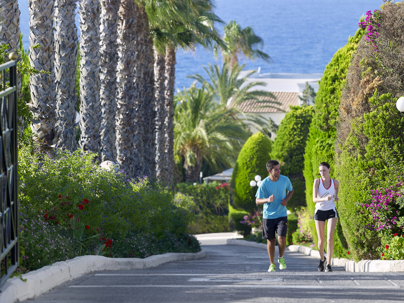 Mitsis Royal Mare 29