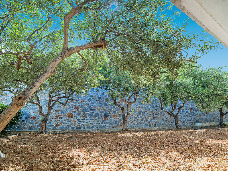 Semiramis Village 9 - Landscape