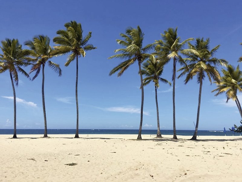 Emotions by Hodelpa Puerto Plata 3