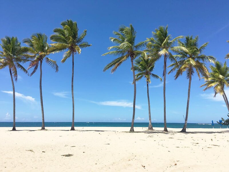 Emotions by Hodelpa Puerto Plata 19