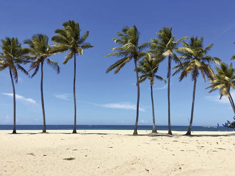 Emotions by Hodelpa Puerto Plata 3