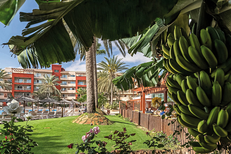 Elba Carlota Beach & Convention Resort 8