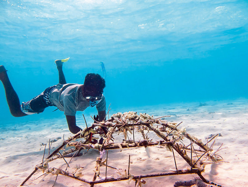 Banyan Tree Vabbinfaru 18