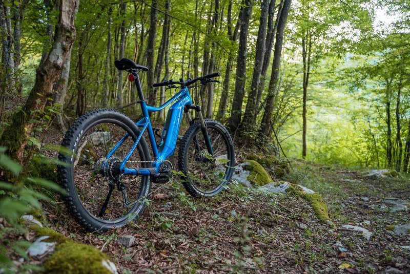 Club Funimation Borik 16