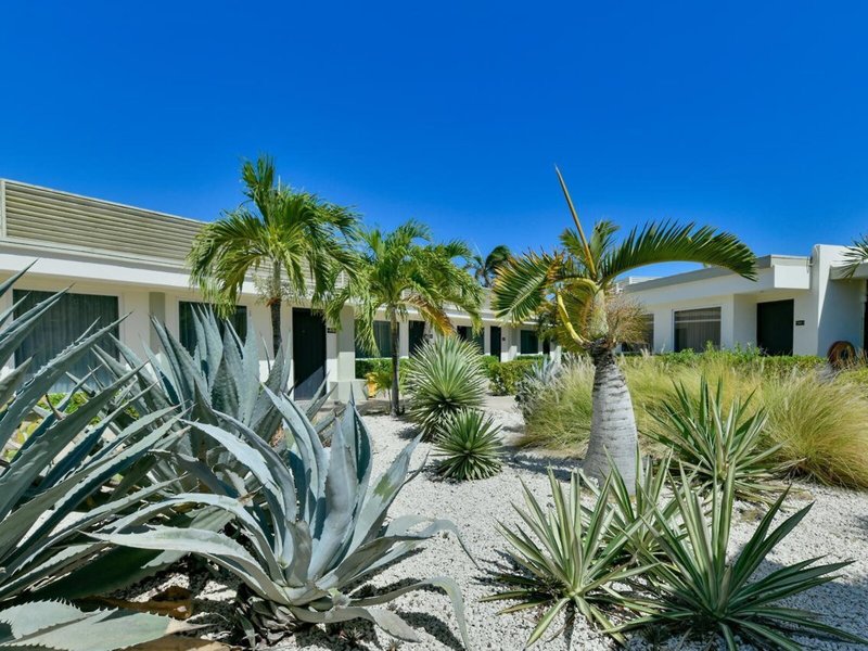 Voco Surfside Aruba By Ihg 5