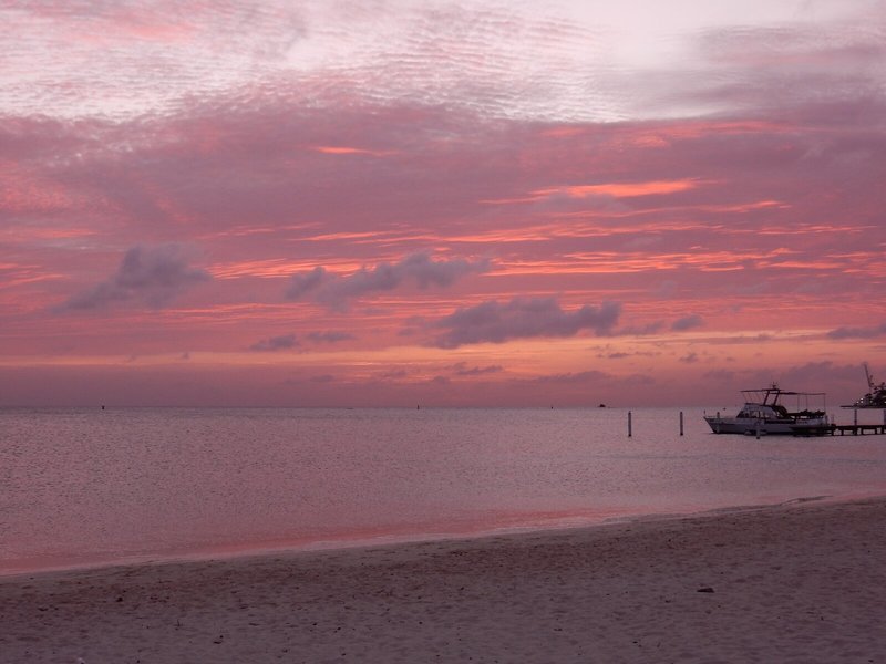 Voco Surfside Aruba By Ihg 7