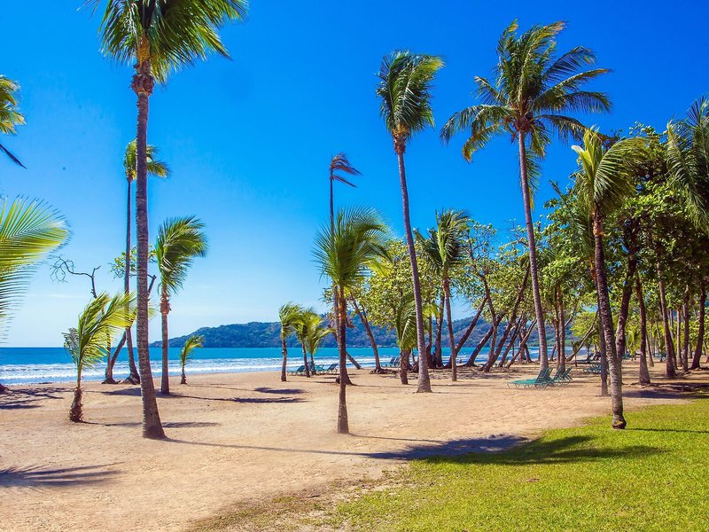 Barcelo Tambor 16 - Beach