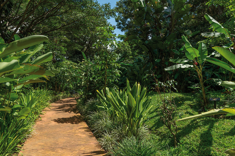 Barceló San José 9