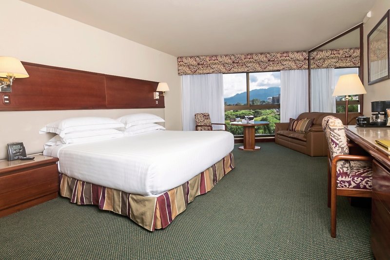 Barceló San José 15