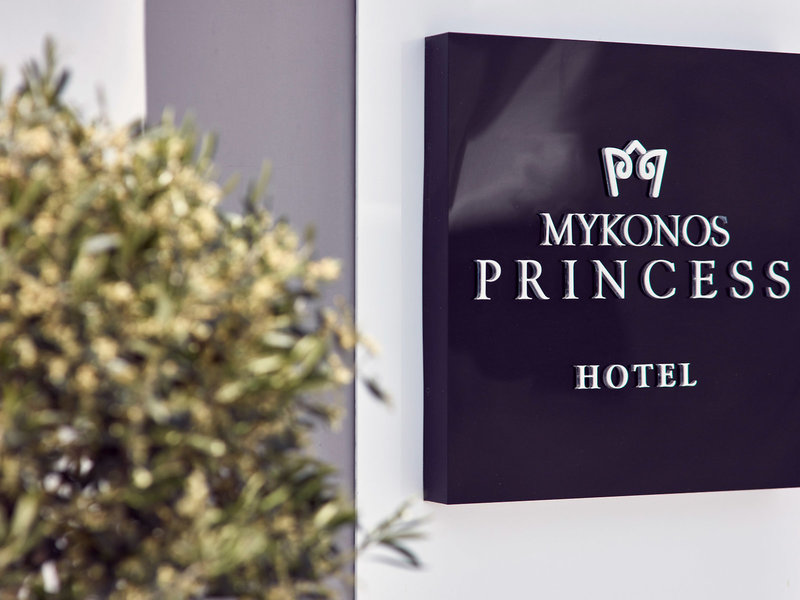 Mykonos Princess 2