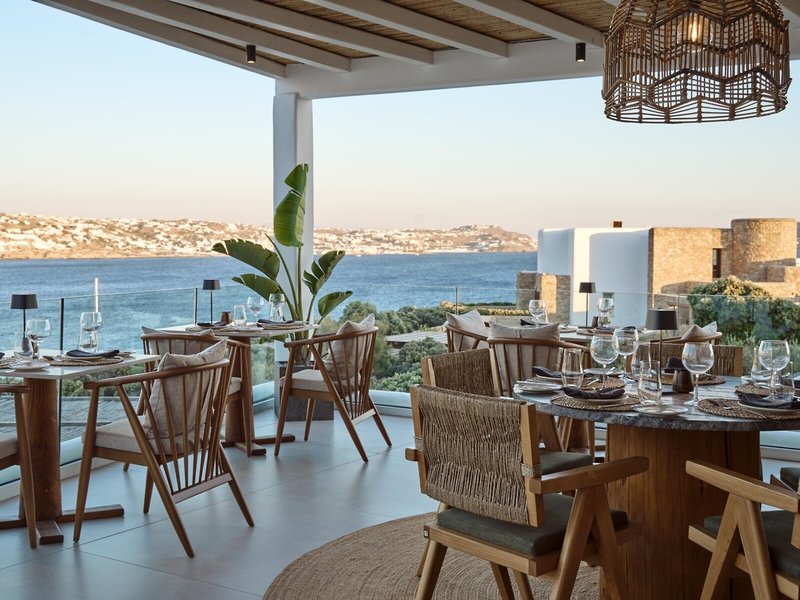 Mykonos Princess 29