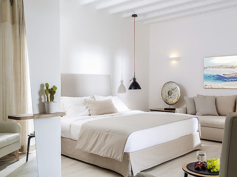 Mykonos Princess 8