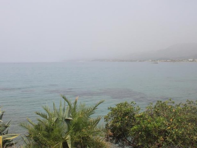 Alexandra Apartments 10