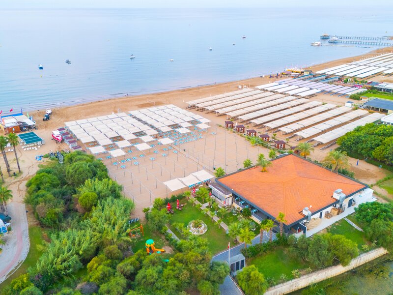 Dream World Palace 87