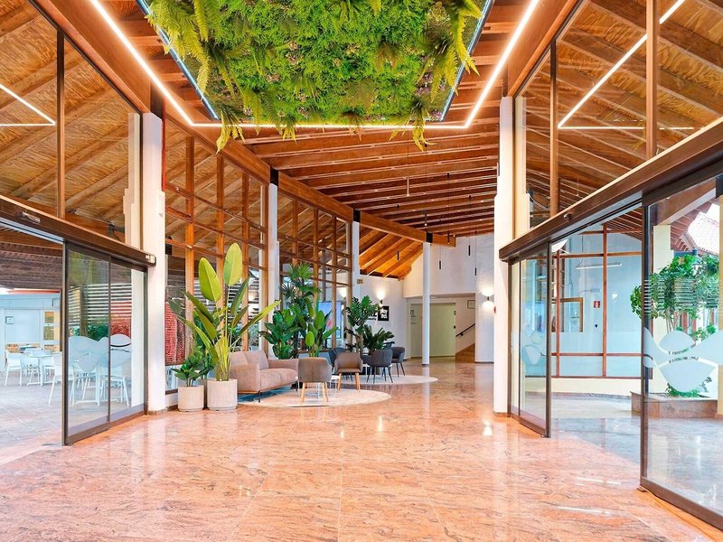 Apartamentos Monte Feliz 22
