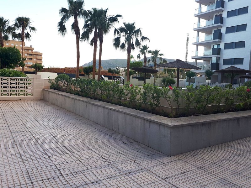 Apartamentos Mondrían Marina Dor 3000 2
