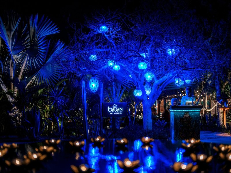 Montage Los Cabos 11