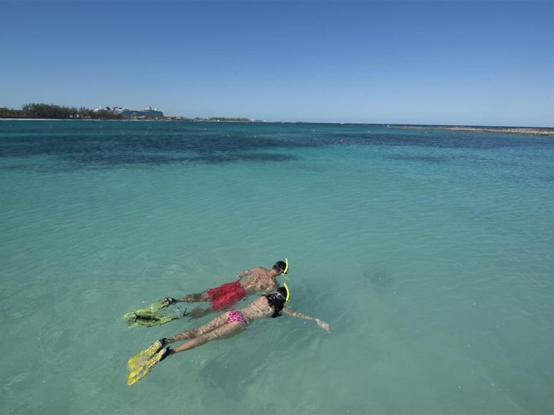 Bay View Suites 6 - Landscape