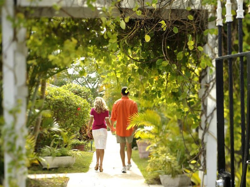 Bay View Suites 7 - Landscape