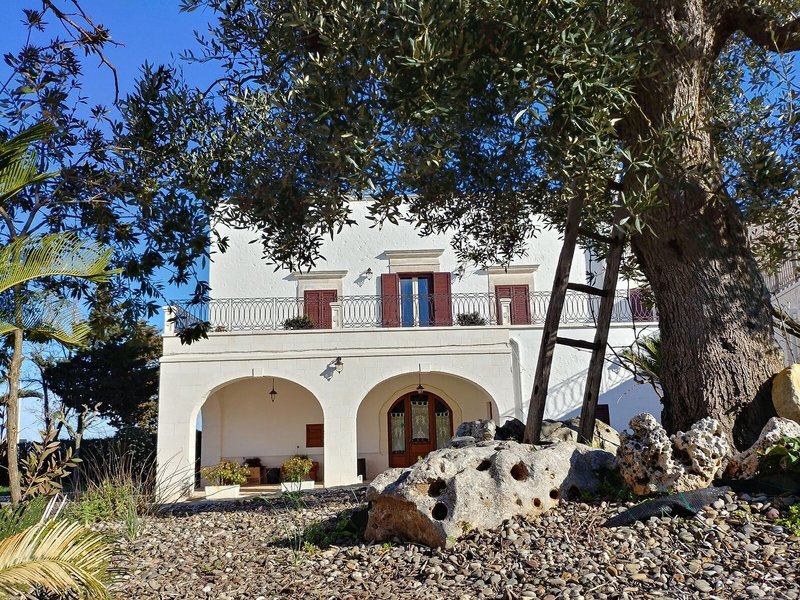 B&B Masseria Peppeturro 4