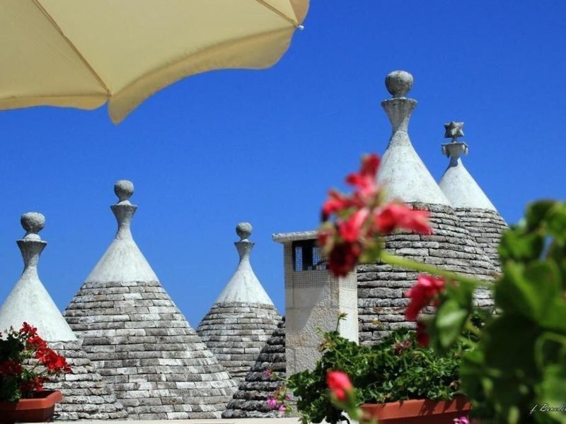 B&B Masseria Peppeturro 5