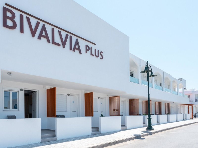 Bivalvia Beach Plus 1