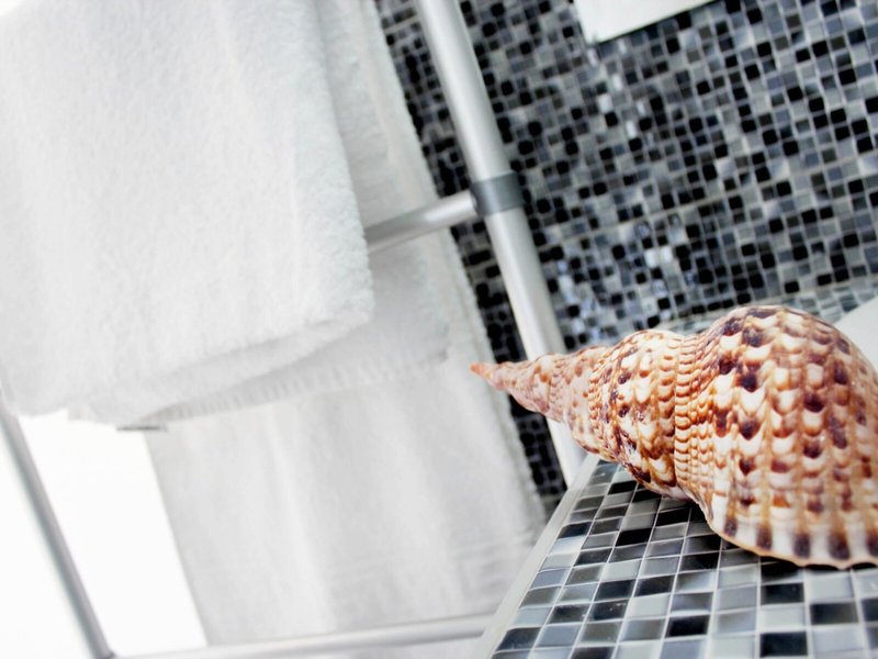 Bivalvia Beach Plus 9