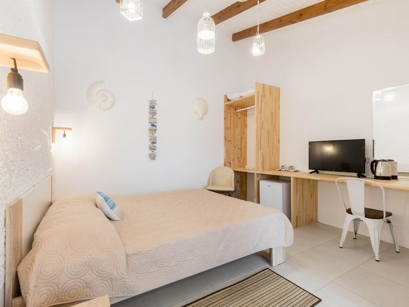 Bivalvia Beach Plus 27