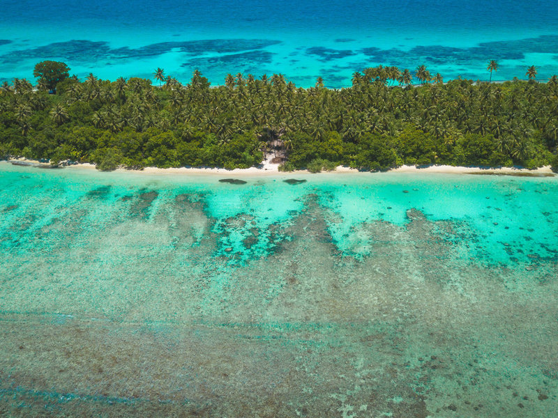 Dhiguveli Maldives 7