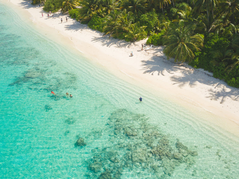 Dhiguveli Maldives 13