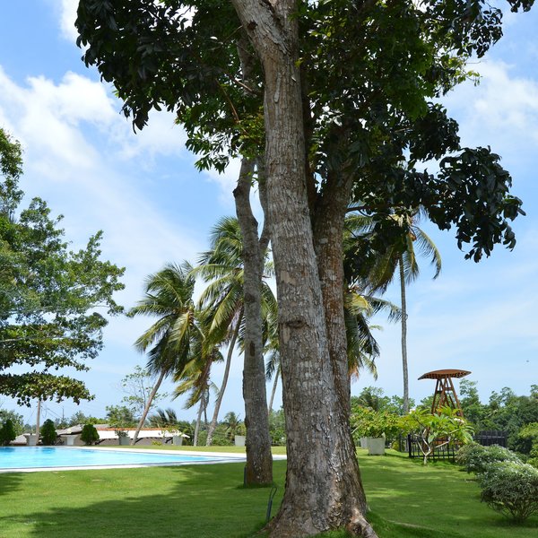 Brisama Ayurveda Boutique Hotel 14