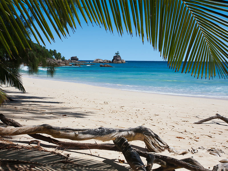Anse Soleil Beachcomber 9