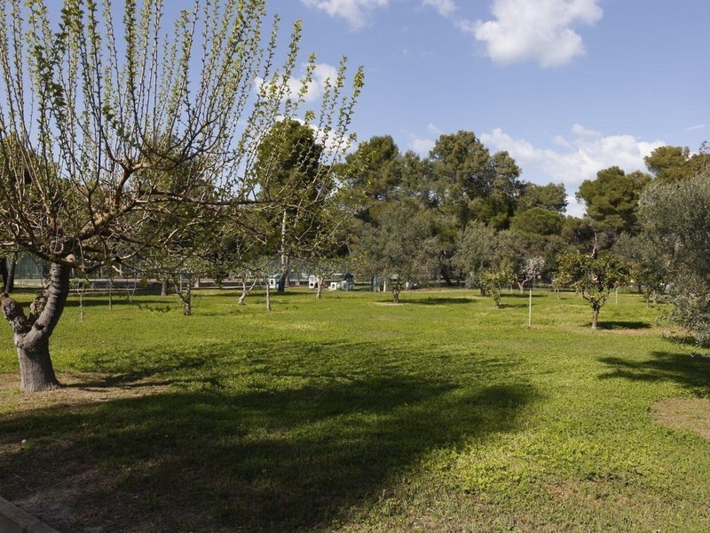 Opera Don Vincenzo Grossi 3 - Landscape