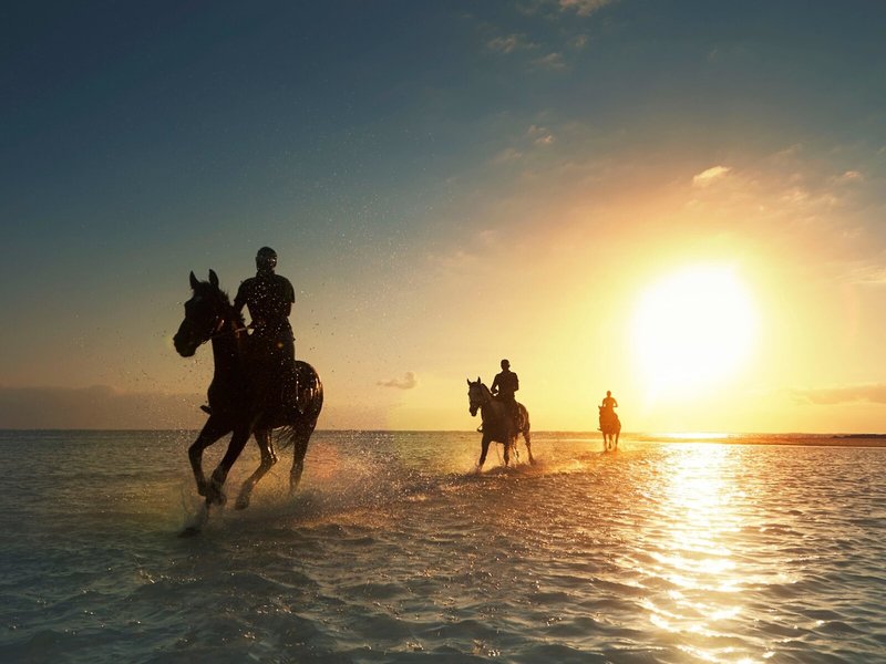 LUX* Belle Mare Hotel & Villas 21