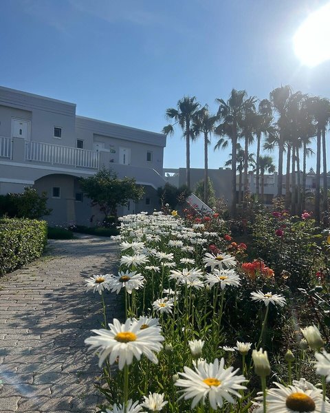 Delfina Tropic Beach 7