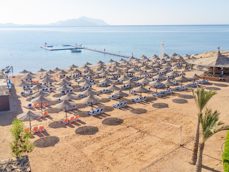 Ivy Cyrene Island Resort 6