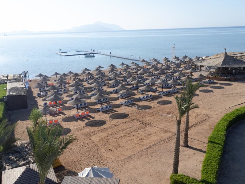 Ivy Cyrene Island Resort 7