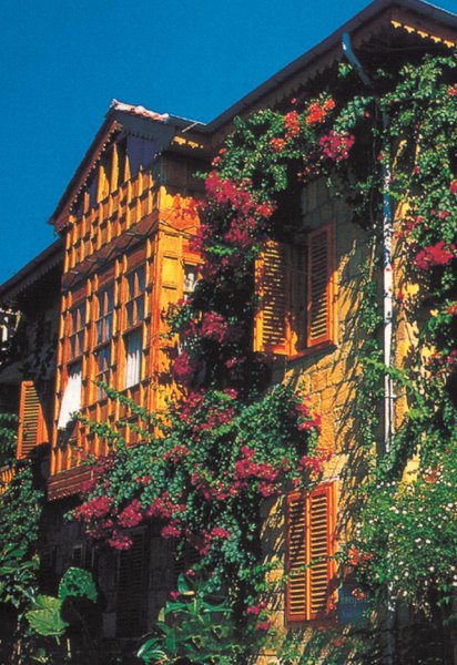 Begonville Pansiyon 1