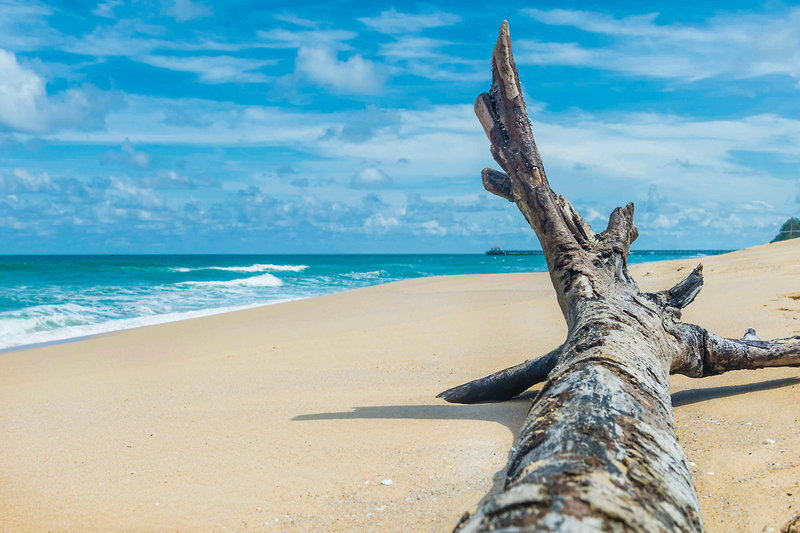 Aleenta Phuket Resort & Spa 38