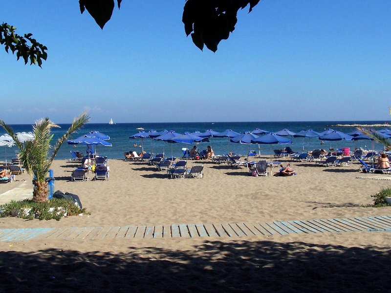 Antonios 6