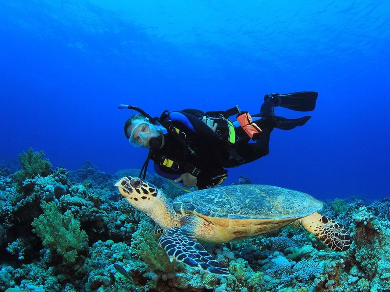 Herodotos Studios 15