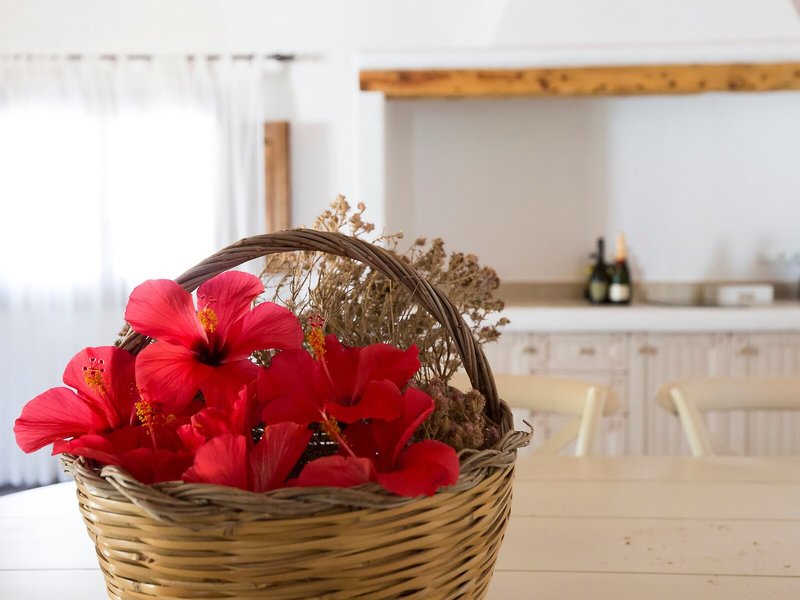 Agroturismo Can Guillem 27