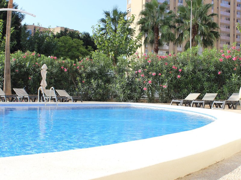 Flamingo Beach Resort 17